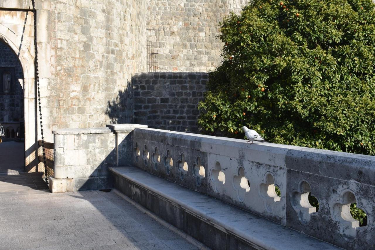 Apartman Elanza Dubrovnik